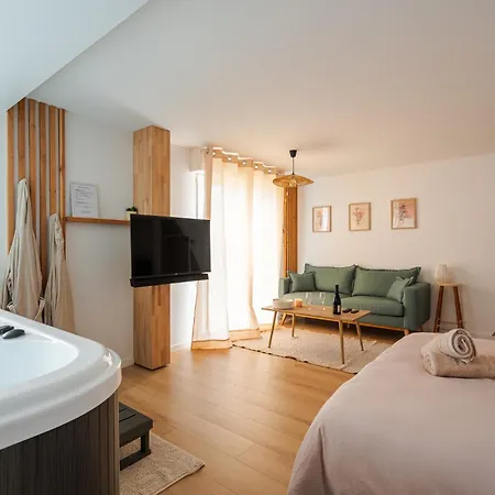 شقة La Parenthese Gemmoise Avec Jacuzzi Privatif Sainte-Gemme-sur-Loire