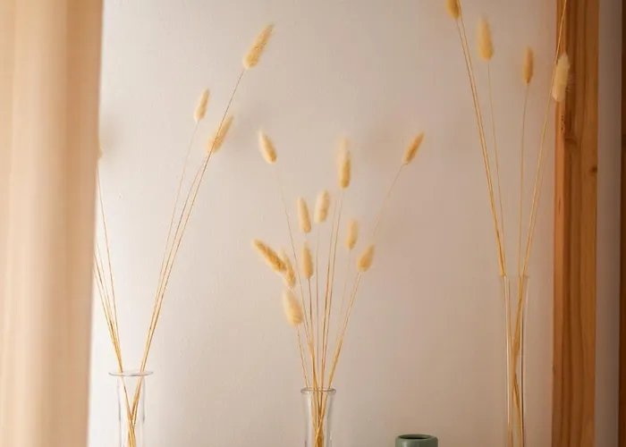 La Parenthese Gemmoise Avec Jacuzzi Privatif * Sainte-Gemme-sur-Loire